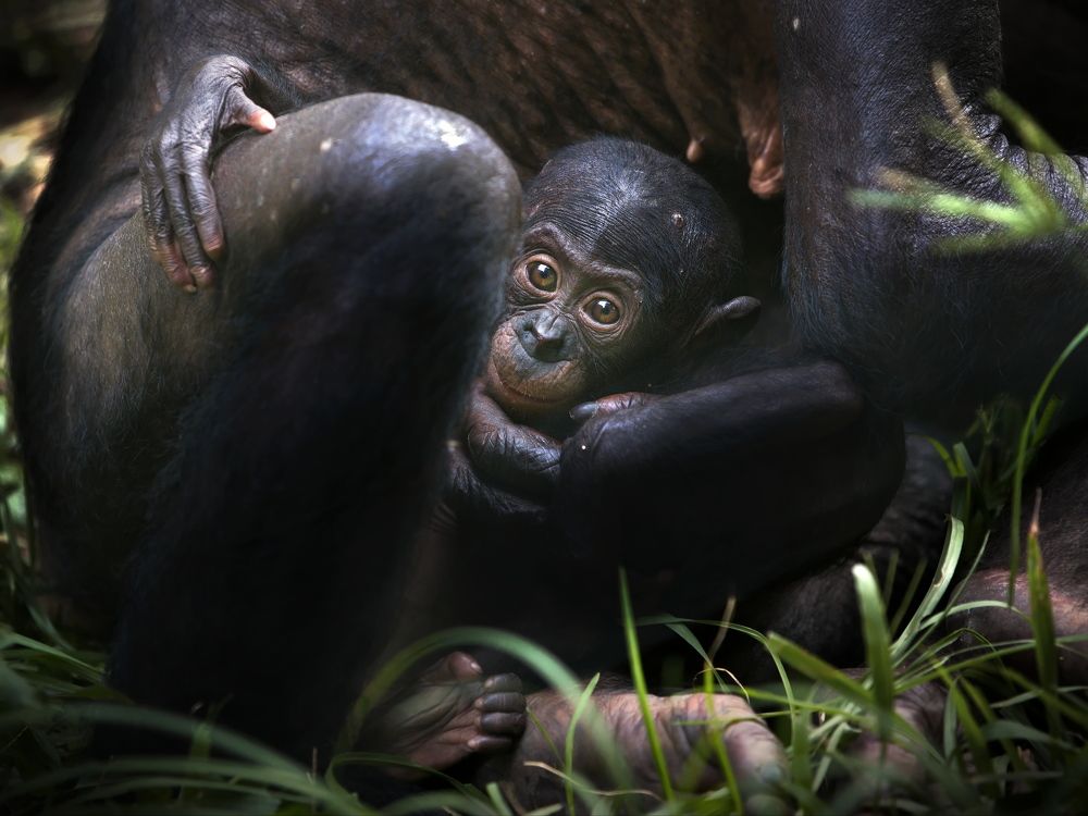 Пусть всегда будет мама!