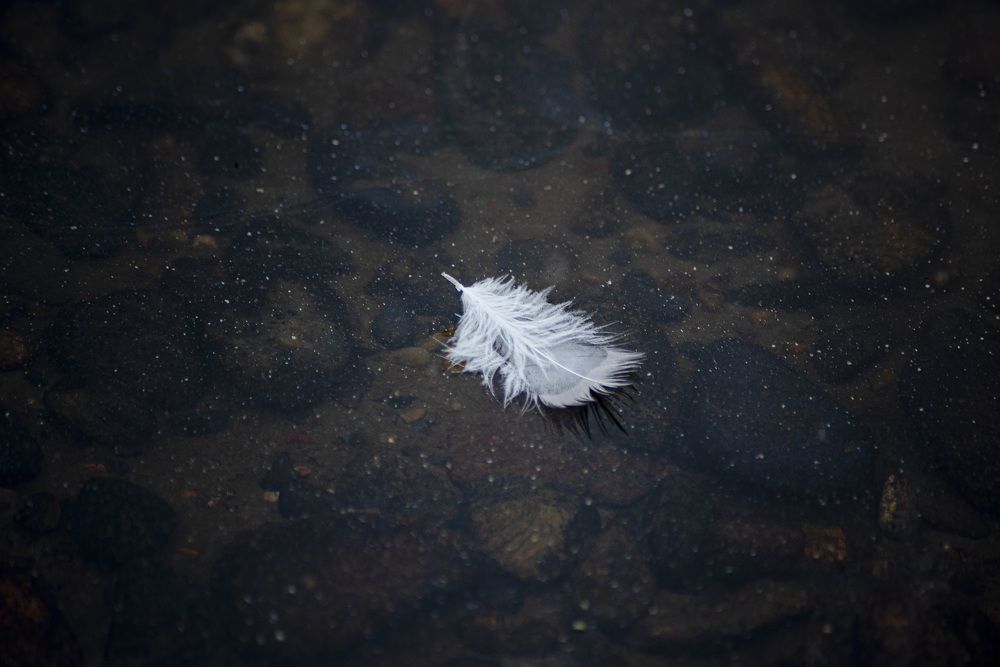 Photograph by Юлия Силина