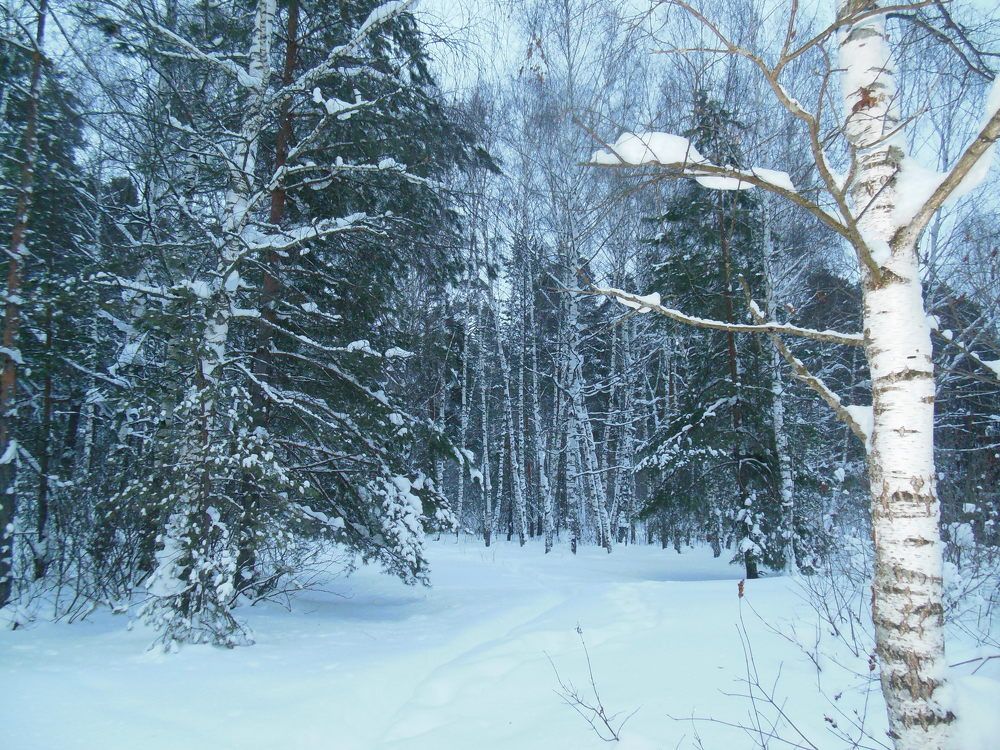 Photograph by Светлана Батурова