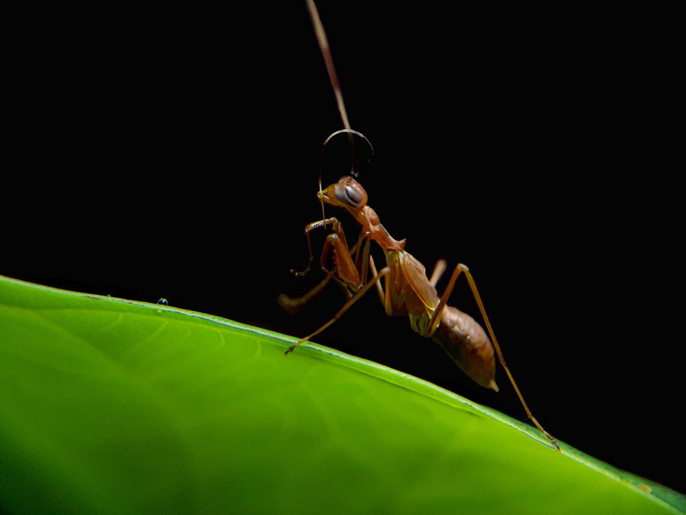 Photograph by Harsha Athauda