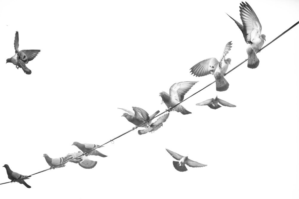 Фотография автора ABHISHEK SHAH