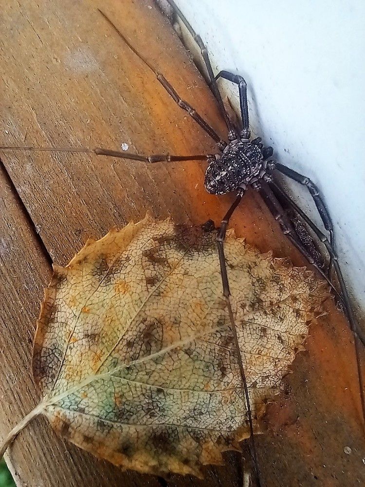 Фотография автора Ирина