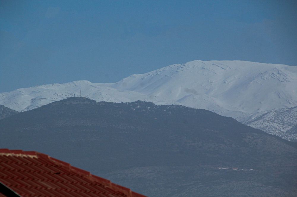 Photograph by Debbie Strauss