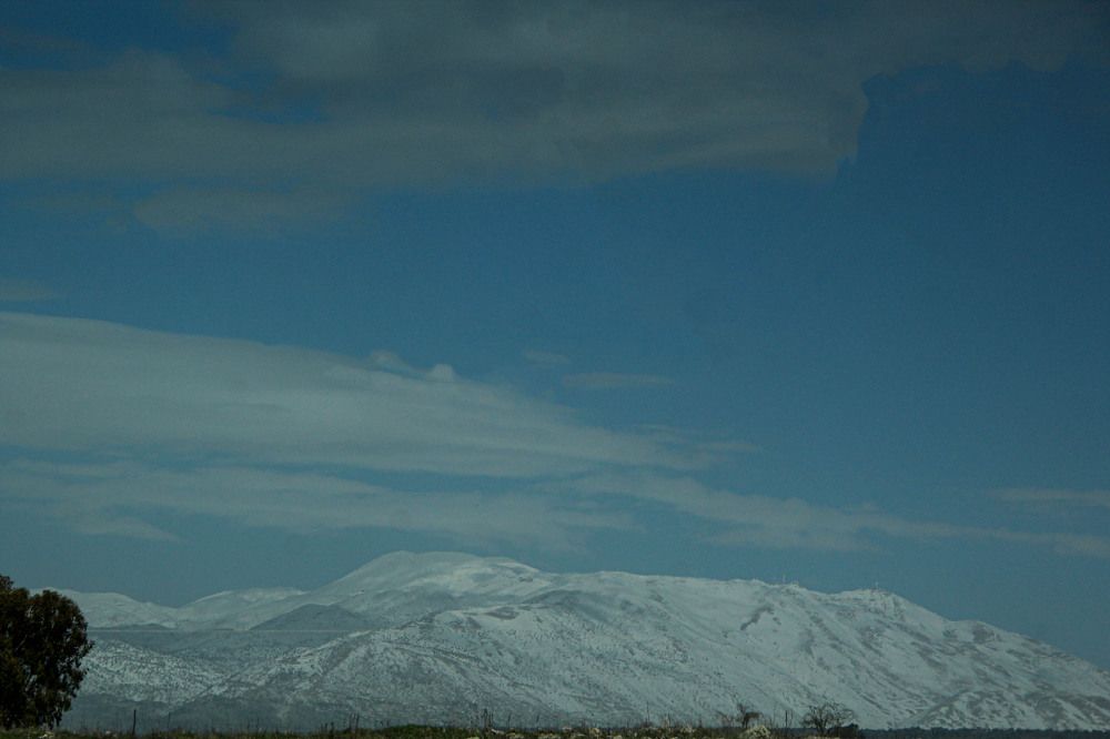 Photograph by Debbie Strauss