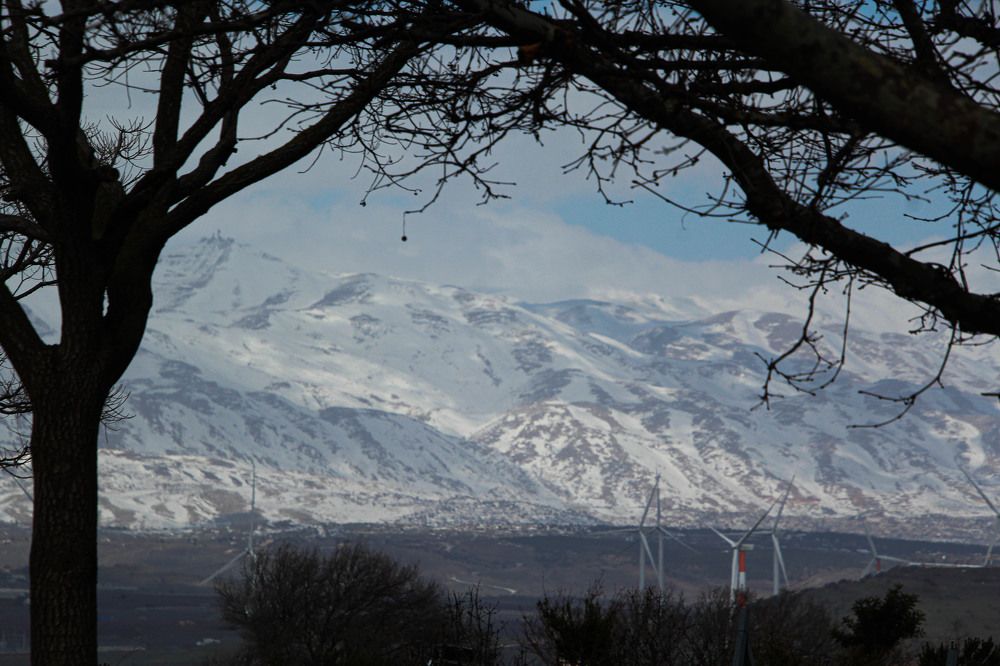 Photograph by Debbie Strauss