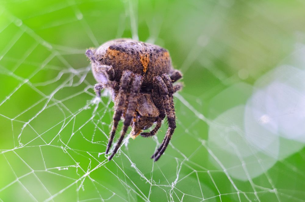 Photograph by Равиль Исмаилов