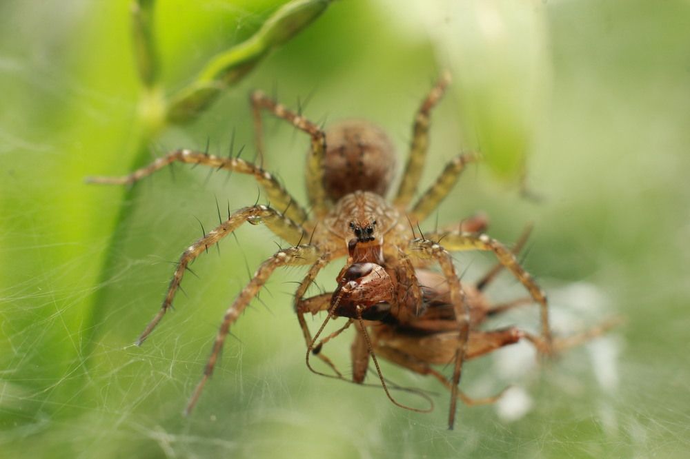 Photograph by Sameera Rathnayaka