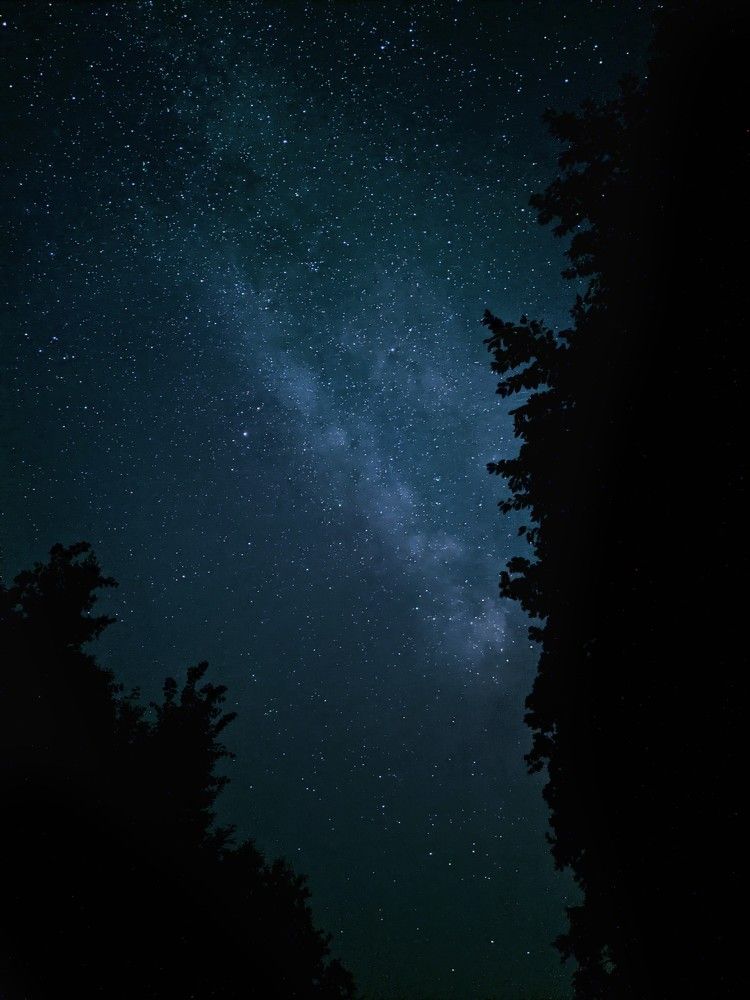 Photograph by Сергей Скарженюк