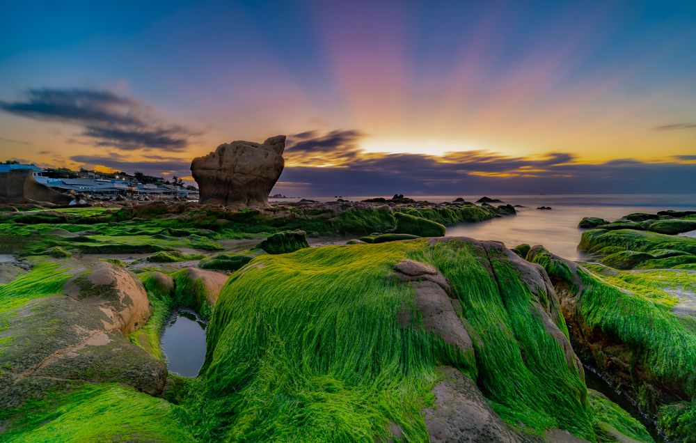 Photograph by Lê Huy Anh