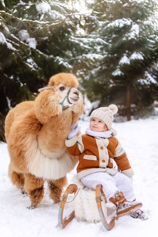 Photograph by Татьяна Гурова