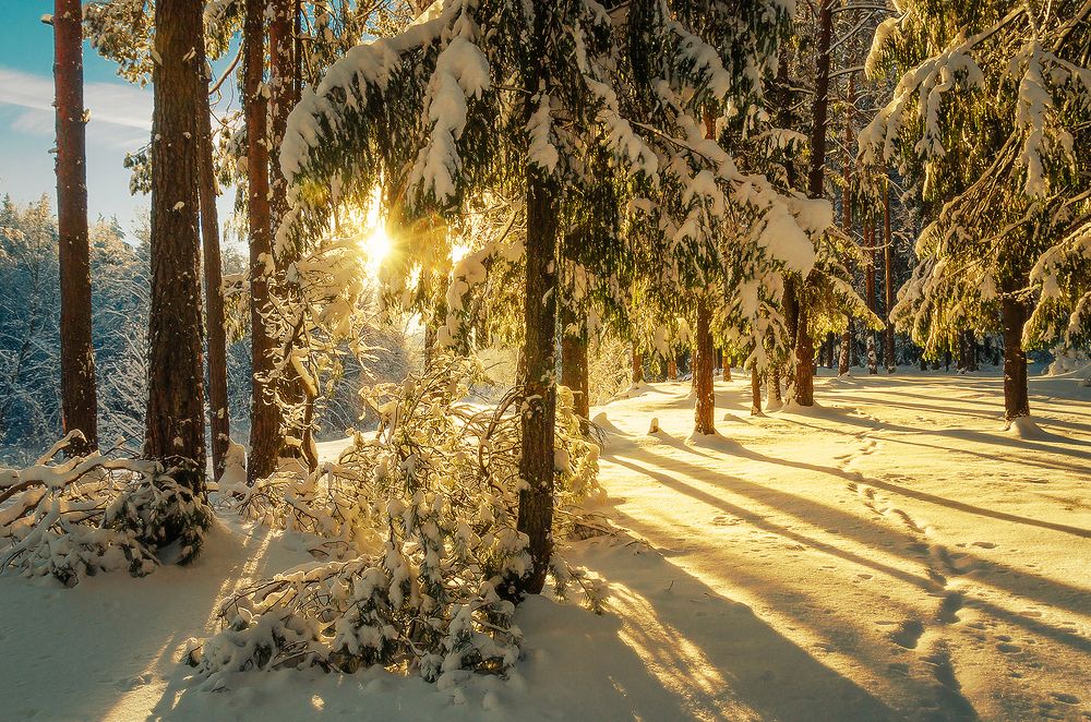 Photograph by Надежда Колеватова