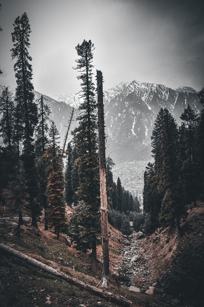 Photograph by Tabrez Khan