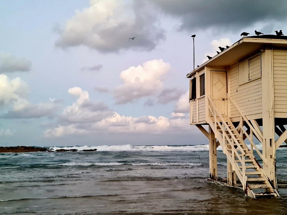 Photograph by יעל מנור