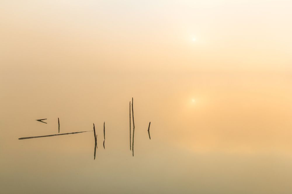 Photograph by Юрий Иванчук