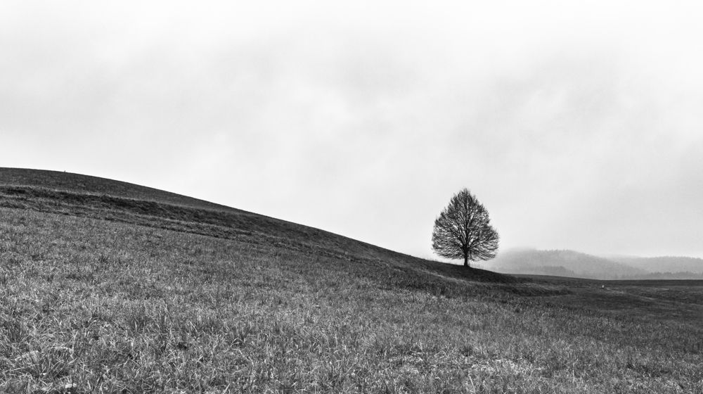 Photograph by Юрий Иванчук