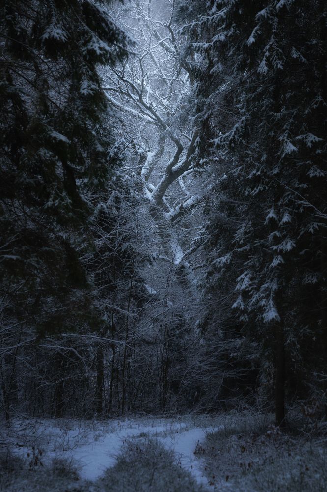 Photograph by Adrian Szatewicz