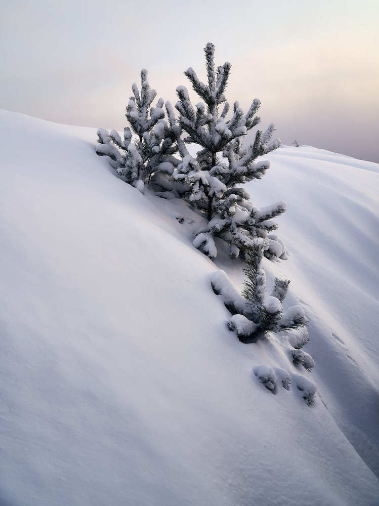 Photograph by Александр Могилатов