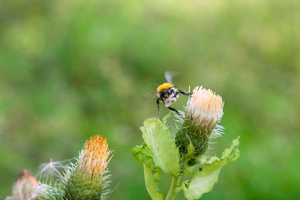 Photograph by Сергей Морозов