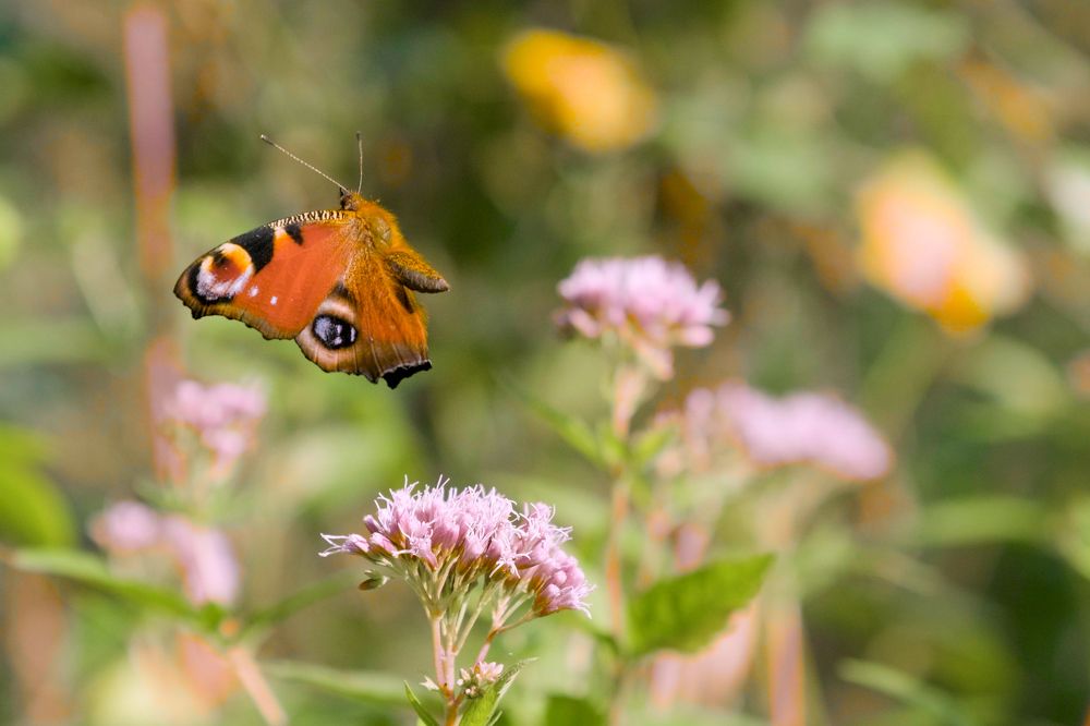 Photograph by Сергей Морозов