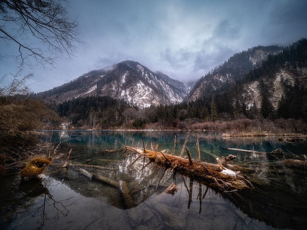 Photograph by 都 文明