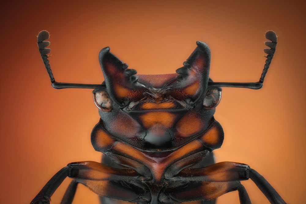 Photograph by Антон Орленко