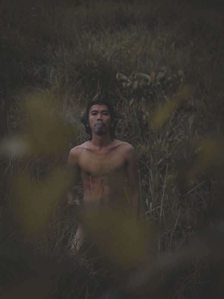 Photo #7153778