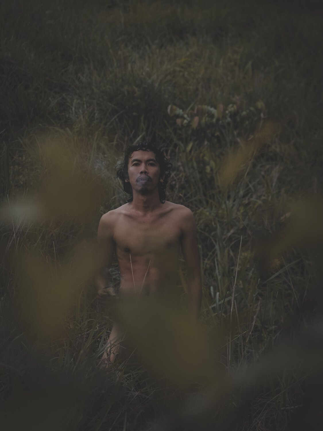 Photo #7153778