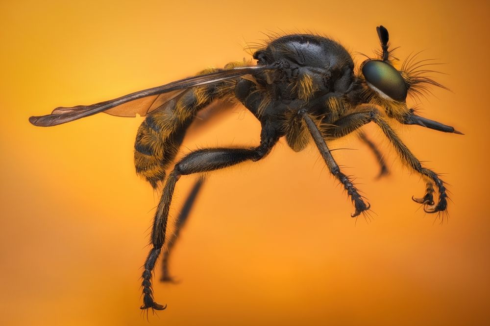 Photograph by Антон Орленко