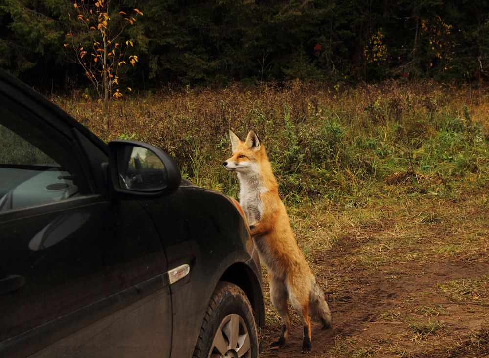 Photograph by Татьяна