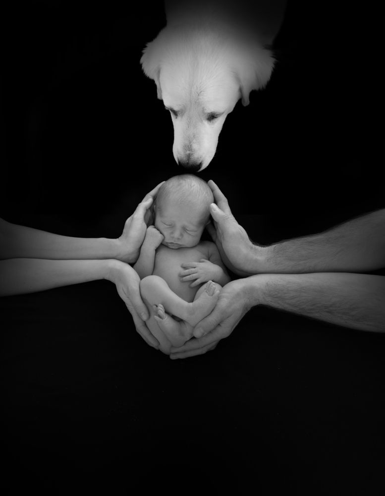 Photograph by Monica Reggiani