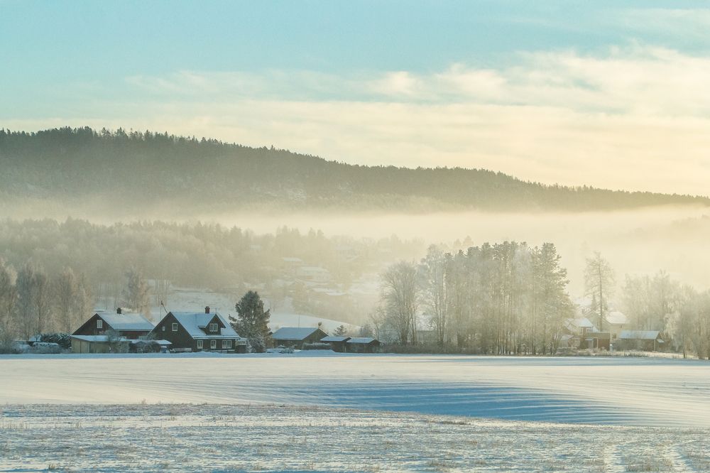 Photograph by Юрий Иванчук