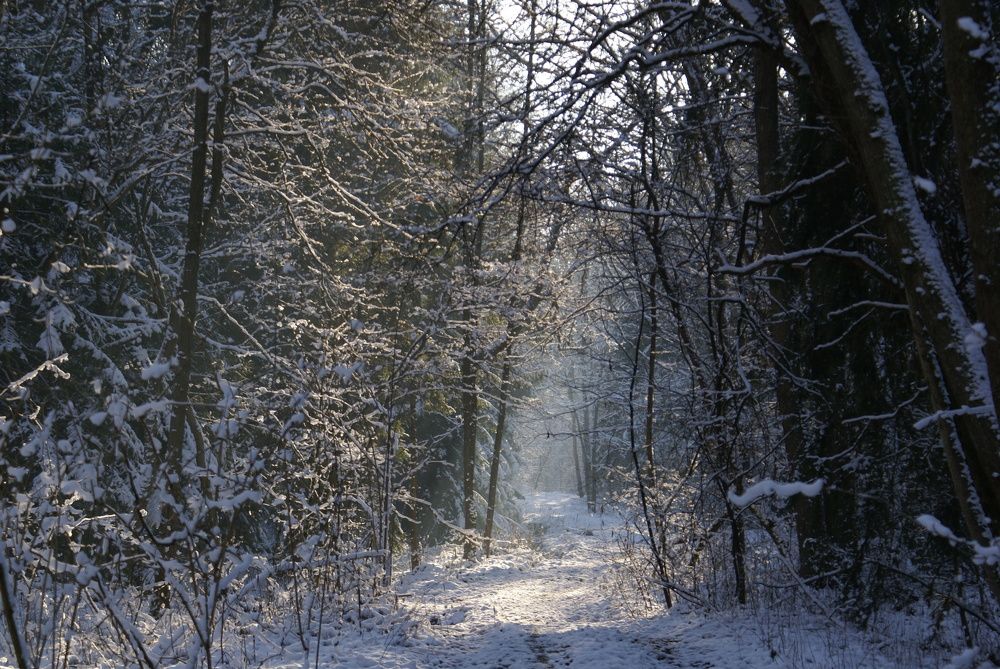 Photograph by мария