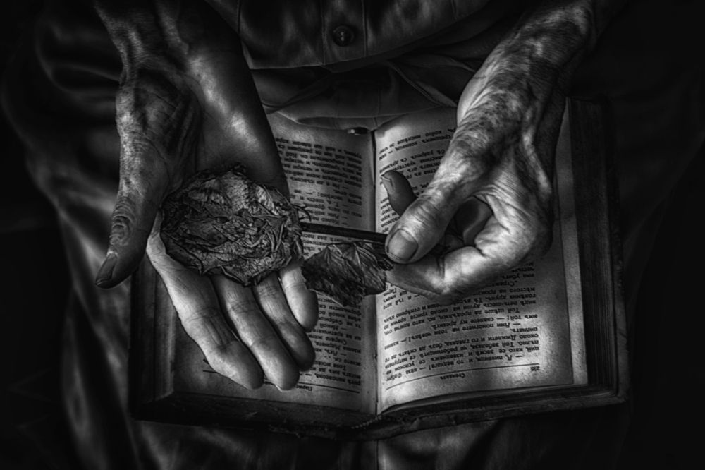 Photograph by Teodora Sarbinska