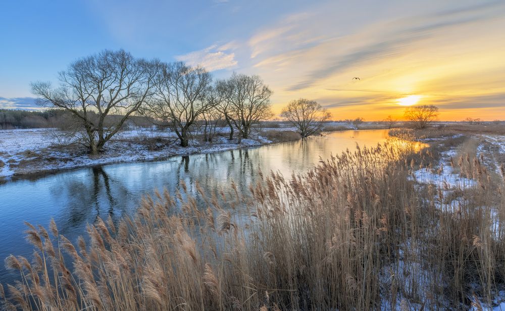 Photograph by Roman Maltez