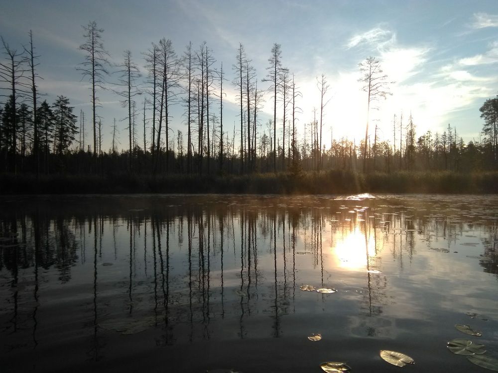Photograph by Сергей Розочкин