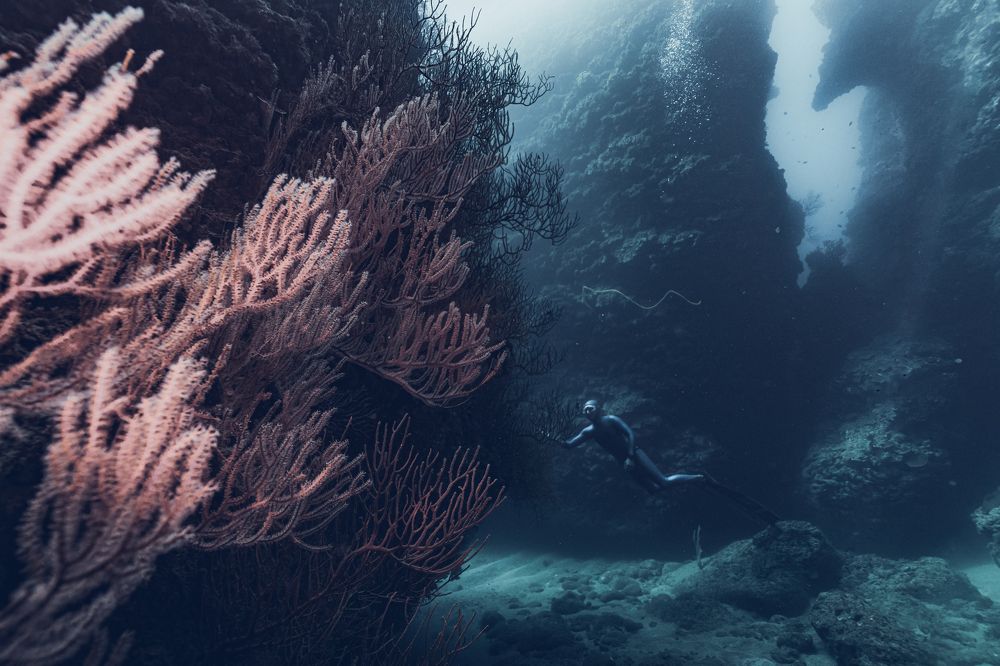 Photograph by Wei Chih Wang