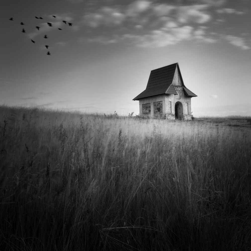 Photograph by Mário