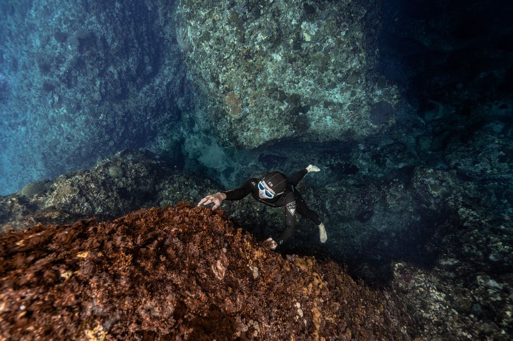 Photograph by Wei Chih Wang