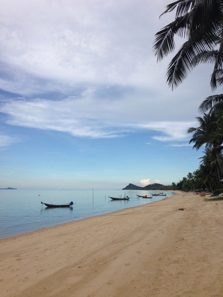 Photograph by Полина