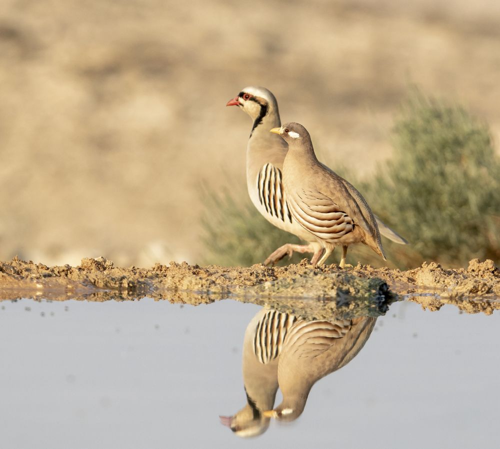 Photograph by Валентина Лопаткина