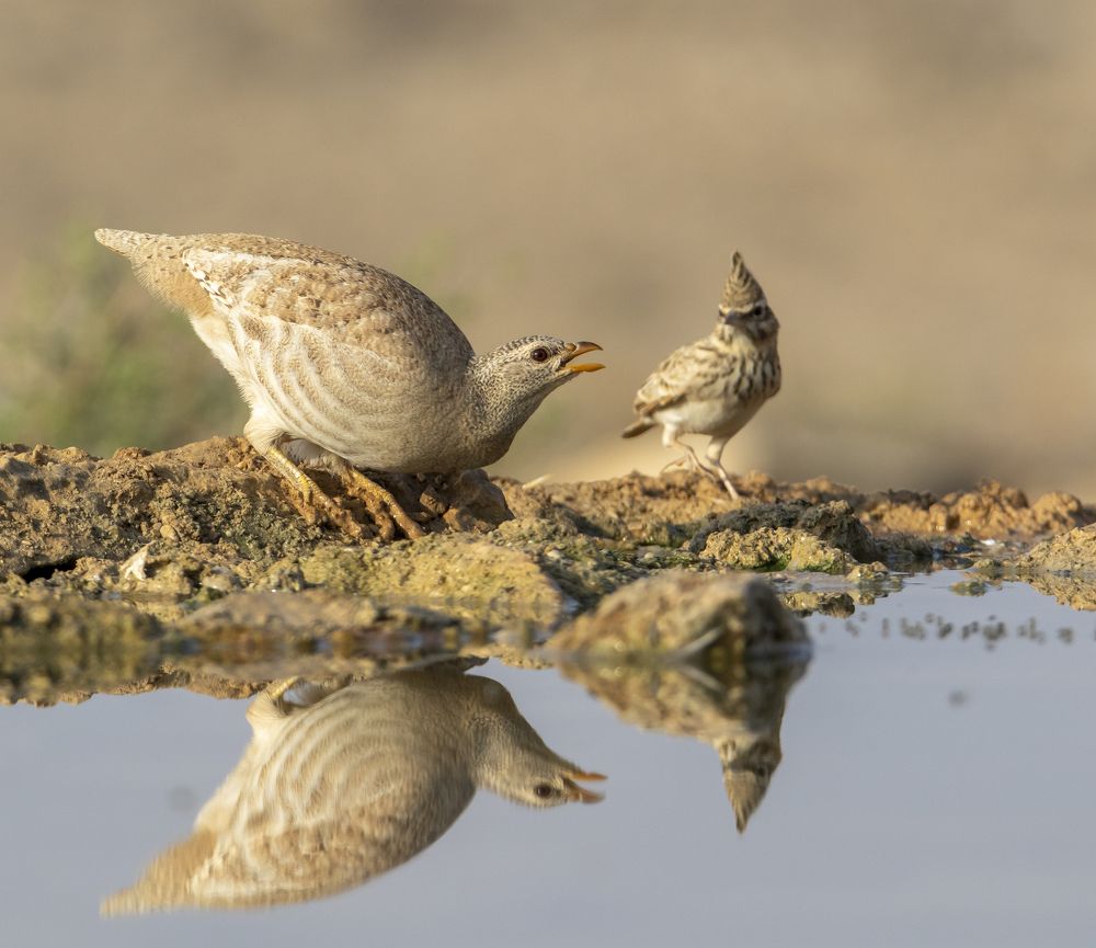 Photograph by Валентина Лопаткина