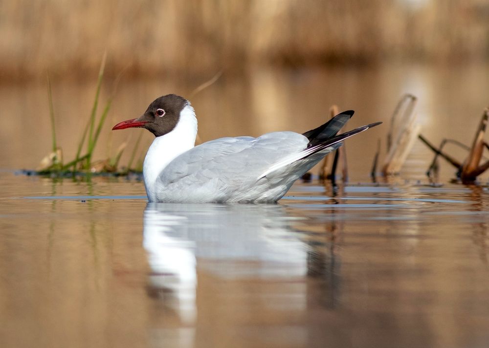 Photograph by Павел Краснослободцев