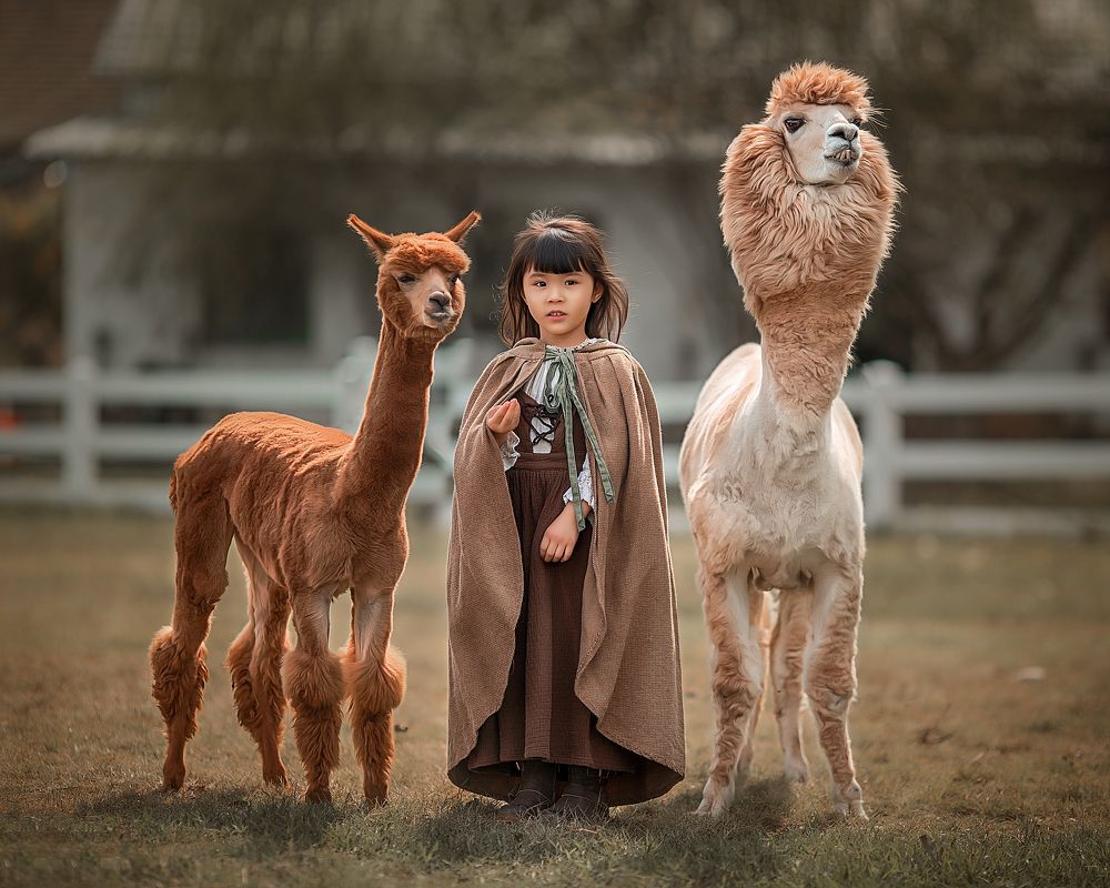 Photograph by 姚文琦