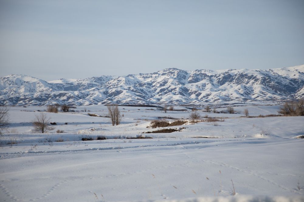 Photograph by Алия Рахимжанова