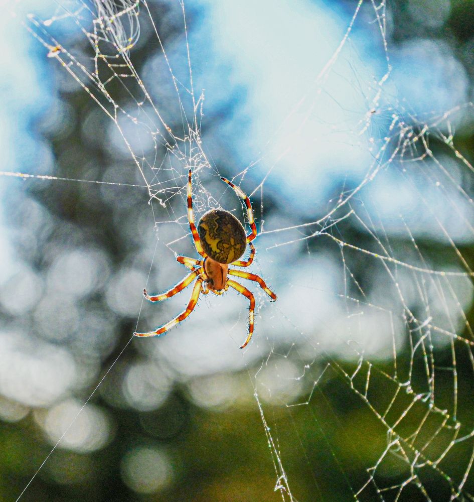 Photograph by ИГОРЬ ЕРМАКОВ