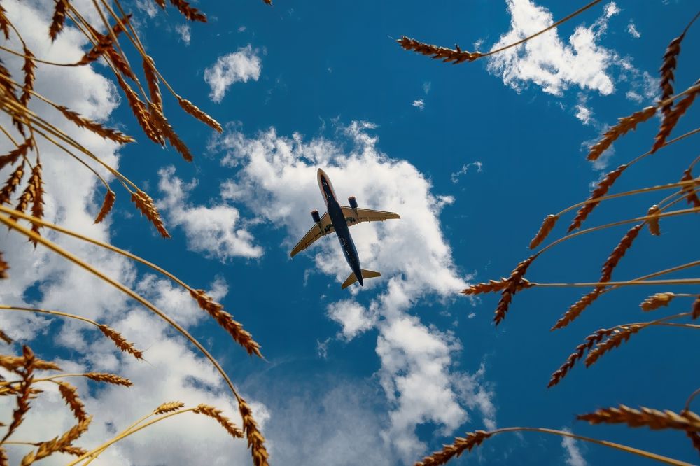 Photograph by Сергей Лебедев