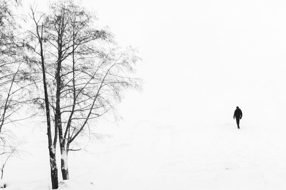 Photograph by Дарья Вега