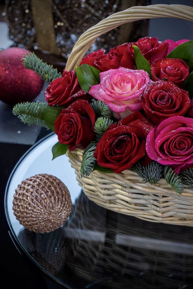 Зимние розы