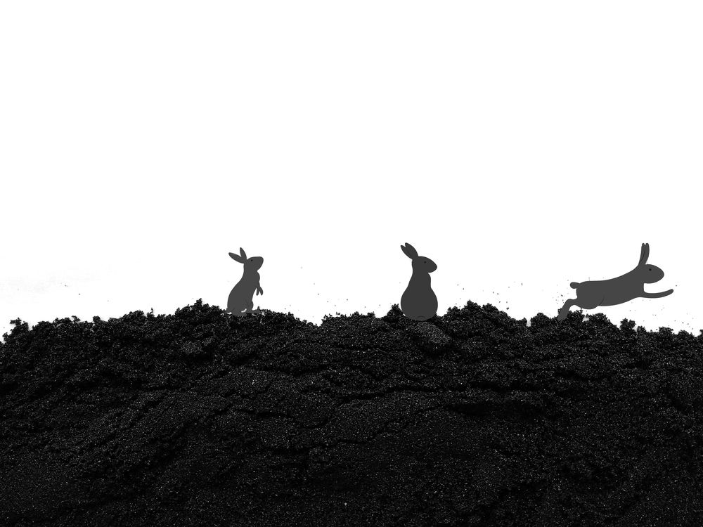 Photograph by Purple sunshine