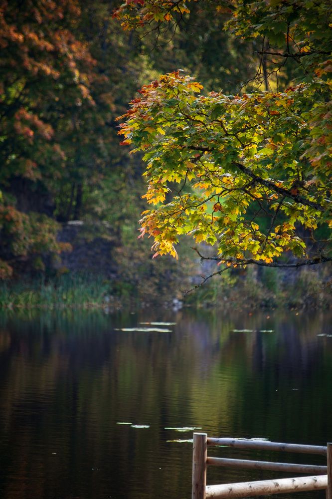 Photograph by Kristine Locika